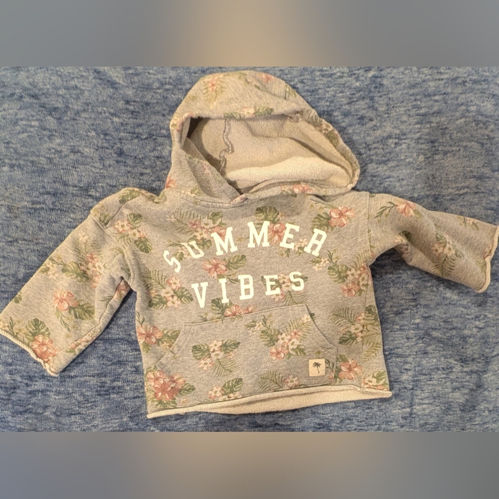 Art Class 2T Gray Cropped Floral Hoodie with Summer Vibes